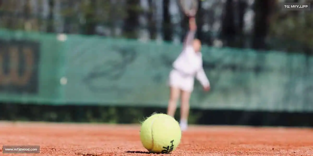 OB电竞官网——🏒冰场旋舞，刀锋逐梦！